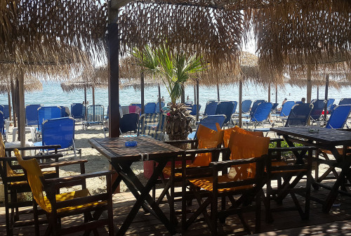 Restaurant-Beach-Bar-12
